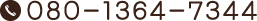 080-1364-7344